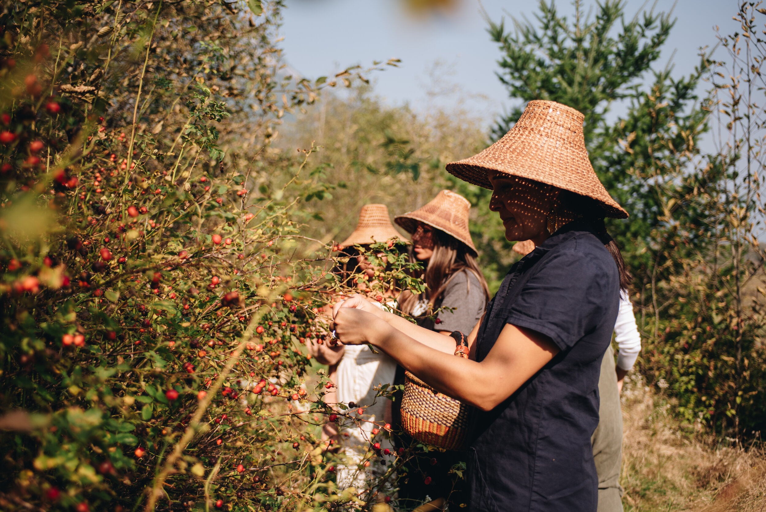 Sḵwálwen Botanicals